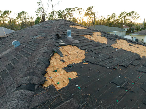 Best Steel Roofing  in Brittany Farms The Highlands, PA